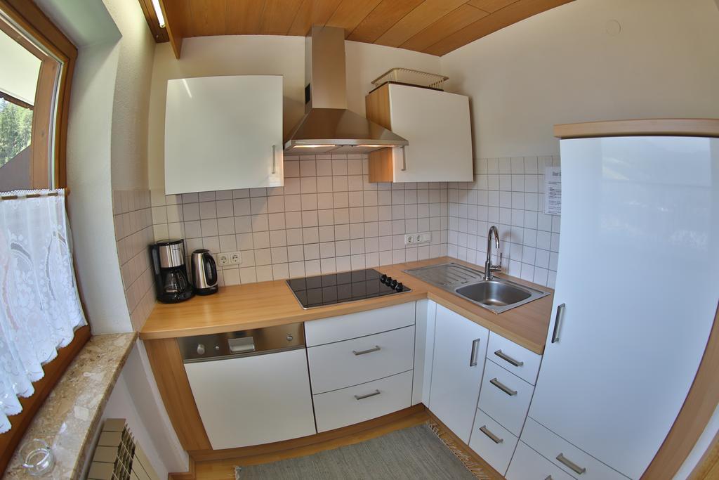 Apartment Riml